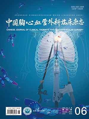 中國胸心血管外科臨床雜志
