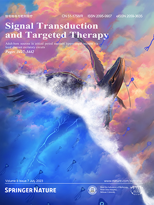 Signal Transduction and Targeted Therapy
