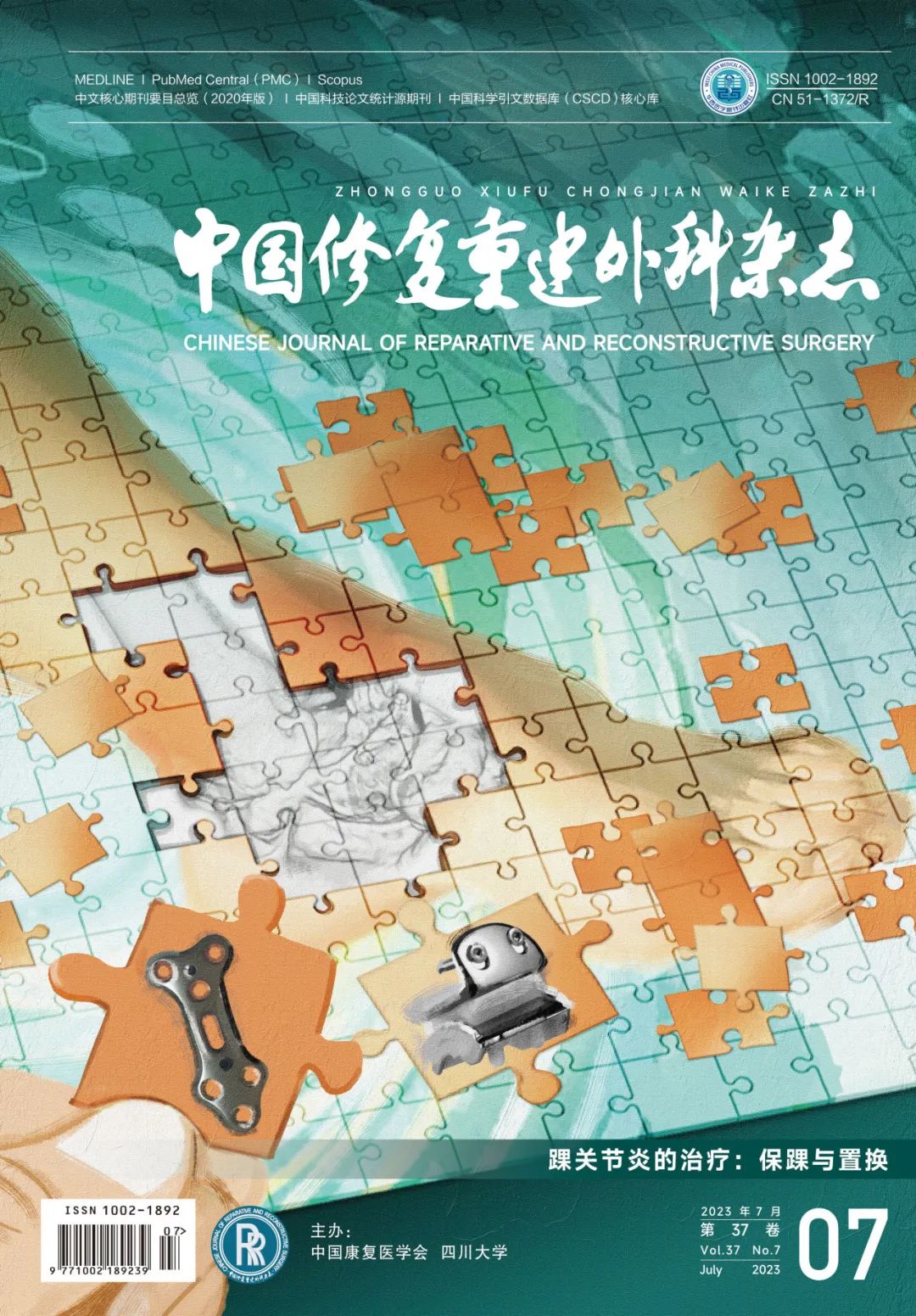 2023年第7期重點專題|踝關節炎的治療：保踝與置換